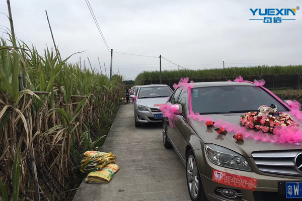 岳信土豪結婚-婚車